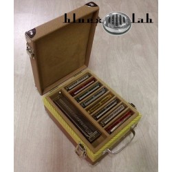 bluex lab harmonica cases
